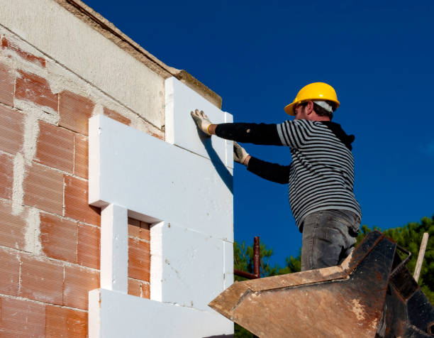 Best Cellulose Insulation in Earlvle, IL