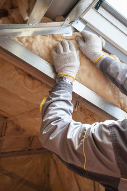 Types of Insulation We Offer in Earlville, IL