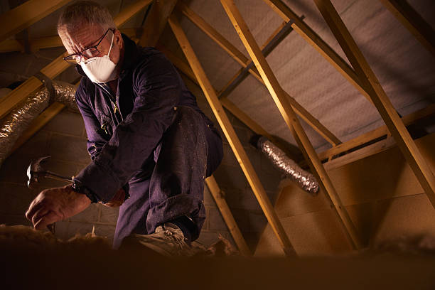 Types of Insulation We Offer in Earlville, IL