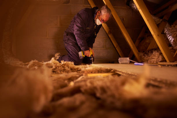 Best Geographic-Specific Insulation Services in Earlvle, IL