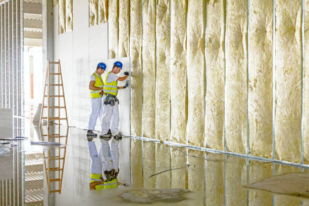 Best Eco-Friendly Insulation in Earlvle, IL
